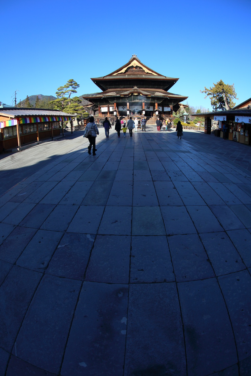 a0155104_15523636.jpg