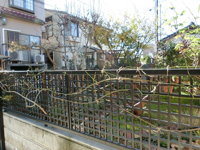 e0234004_20393428.jpg