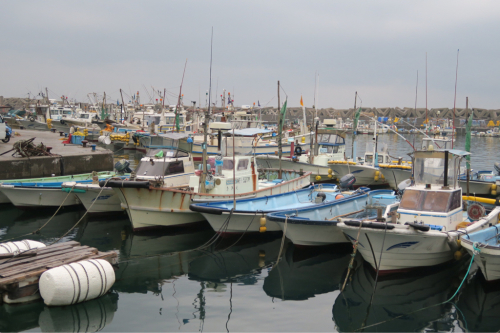 海界の村を歩く 伊勢湾 答志島（三重県鳥羽市）_d0147406_18095112.jpg