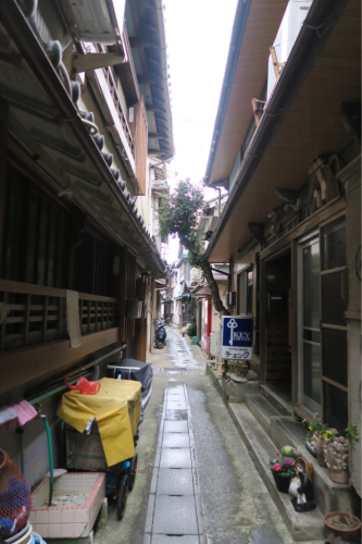 海界の村を歩く 伊勢湾 答志島（三重県鳥羽市）_d0147406_19090290.jpg