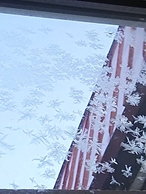 f0316507_12080607.jpg