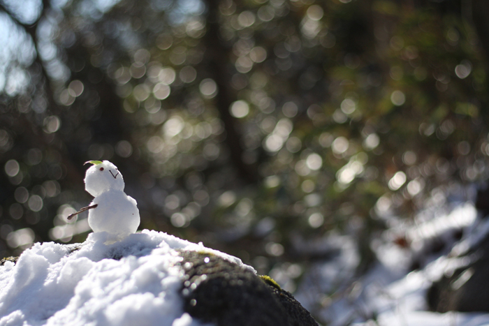 いよいよ雪山シーズン！　釈迦ヶ岳へ(^o^)／_e0077010_1114764.jpg