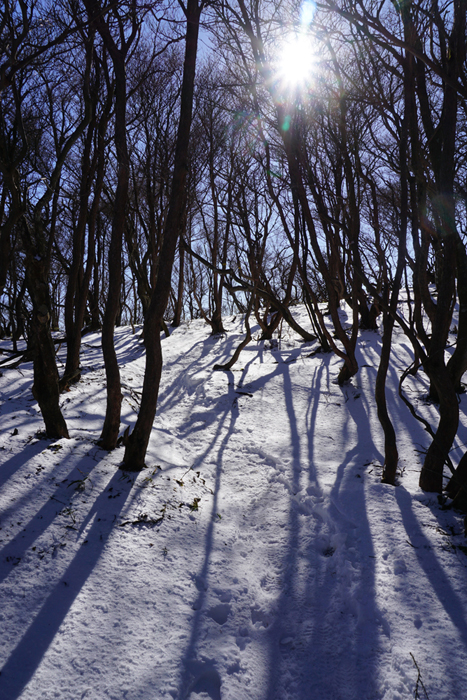 いよいよ雪山シーズン！　釈迦ヶ岳へ(^o^)／_e0077010_11214663.jpg