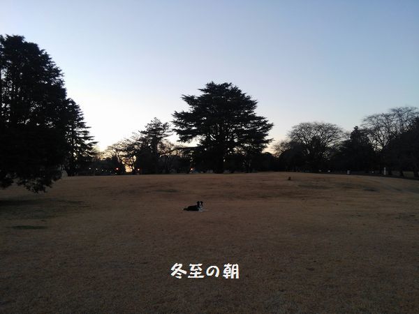 d0224111_22102104.jpg