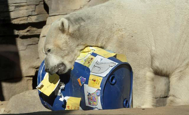 アメリカ・カンザスシティ動物園でニキータのお別れ会が開催される ~ “Logic has to overcome emotion.”_a0151913_224549.jpg