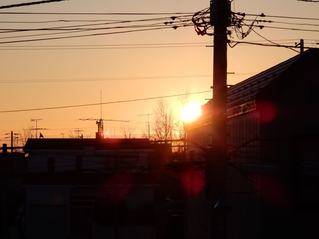 冬至の翌朝_c0025115_20155177.jpg