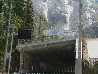 c0346119_20302783.jpg