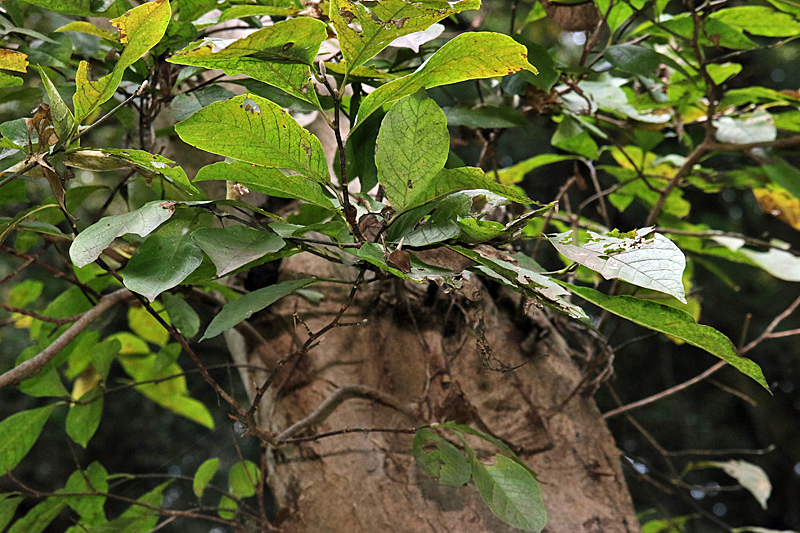 d0054625_22154861.jpg