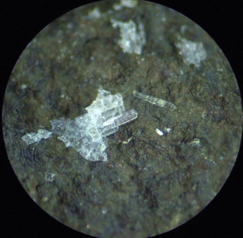 d0045626_21541406.jpg