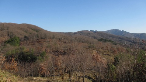 e0202031_22301768.jpg