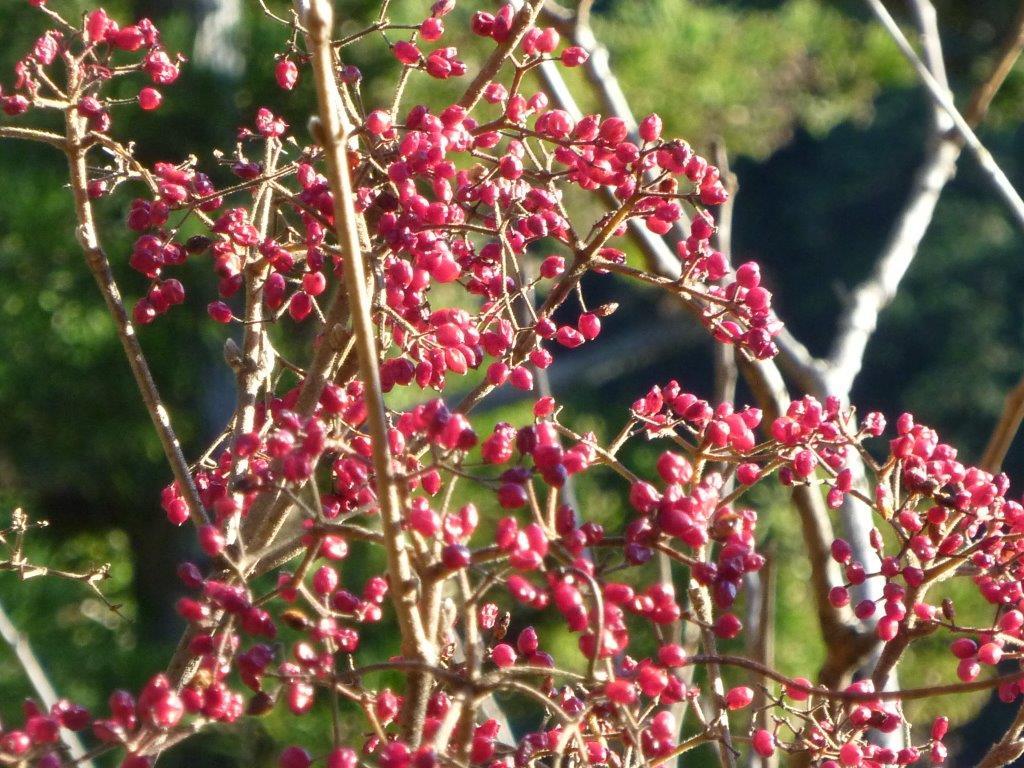 b0298935_17414971.jpg