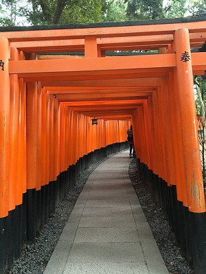 c0090236_9222233.jpg
