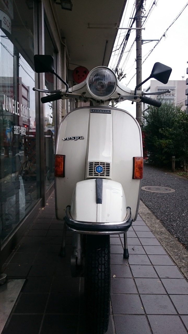 P.Paul vespa 親株（子株3つ➕PUP付き） P.Paul vespa 親株（子株3つ