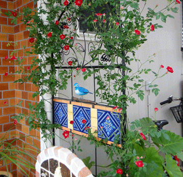 a0056140_1804237.gif