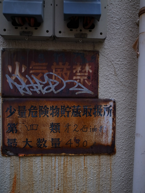 a0087341_93867.jpg