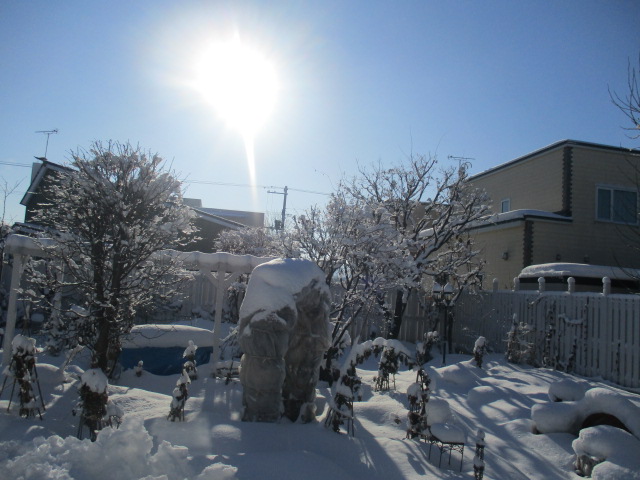 a0279743_1032375.jpg