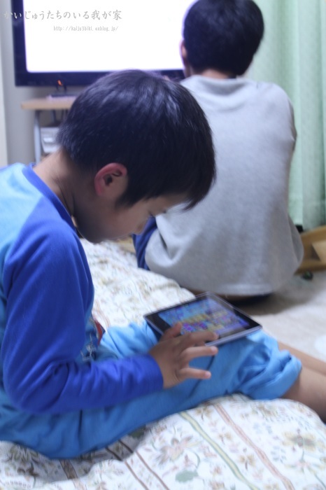 d0148347_04400730.jpg