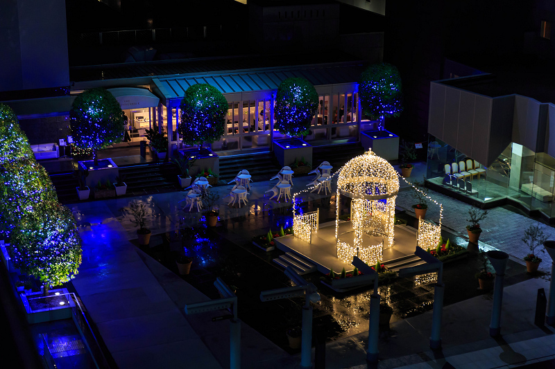 クリスマスイルミネーション in KYOTO Station _f0155048_1723794.jpg