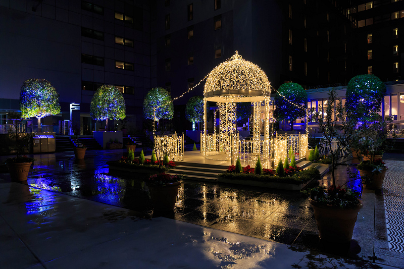 クリスマスイルミネーション in KYOTO Station _f0155048_1742466.jpg