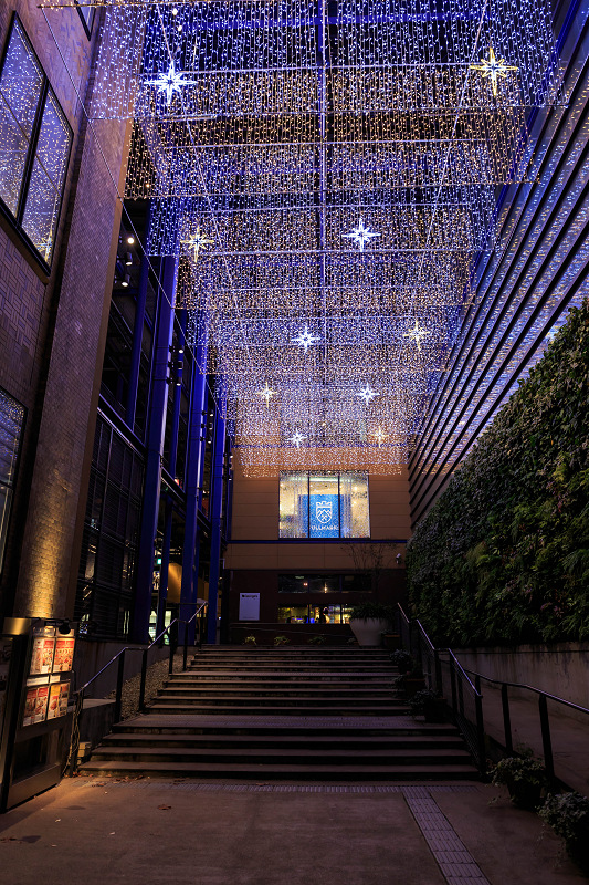 Star Light Christmas 2015 in 新風館_f0155048_1749074.jpg