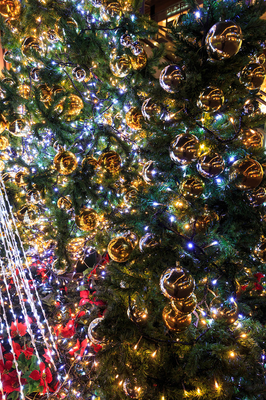 Star Light Christmas 2015 in 新風館_f0155048_17492413.jpg