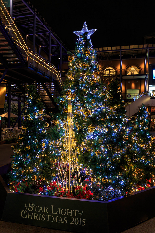 Star Light Christmas 2015 in 新風館_f0155048_17511649.jpg