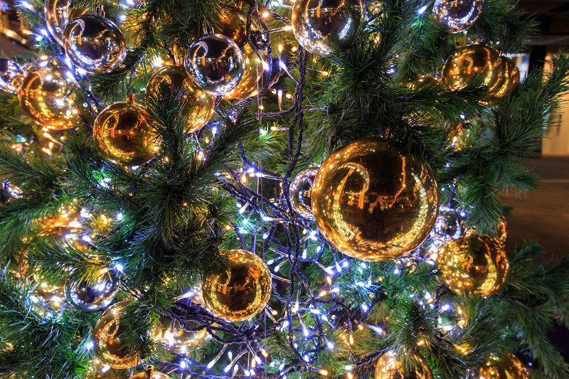 Star Light Christmas 2015 in 新風館_f0155048_17511872.jpg