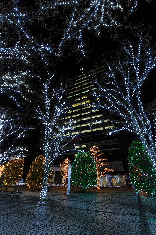 京セラ本社イルミネーション2015_f0155048_18103690.jpg