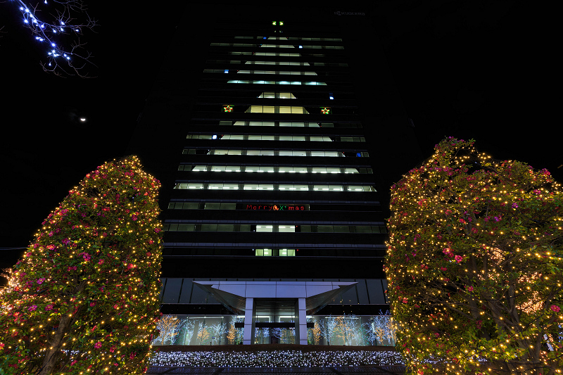 京セラ本社イルミネーション2015_f0155048_1811740.jpg