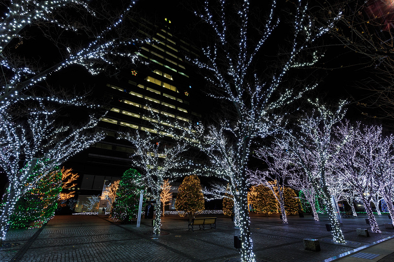 京セラ本社イルミネーション2015_f0155048_18123263.jpg