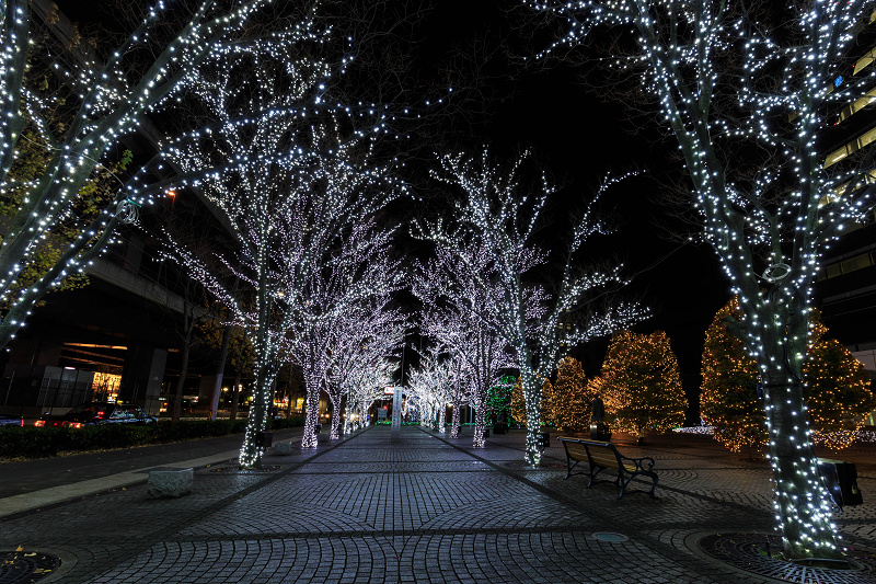 京セラ本社イルミネーション2015_f0155048_18124385.jpg