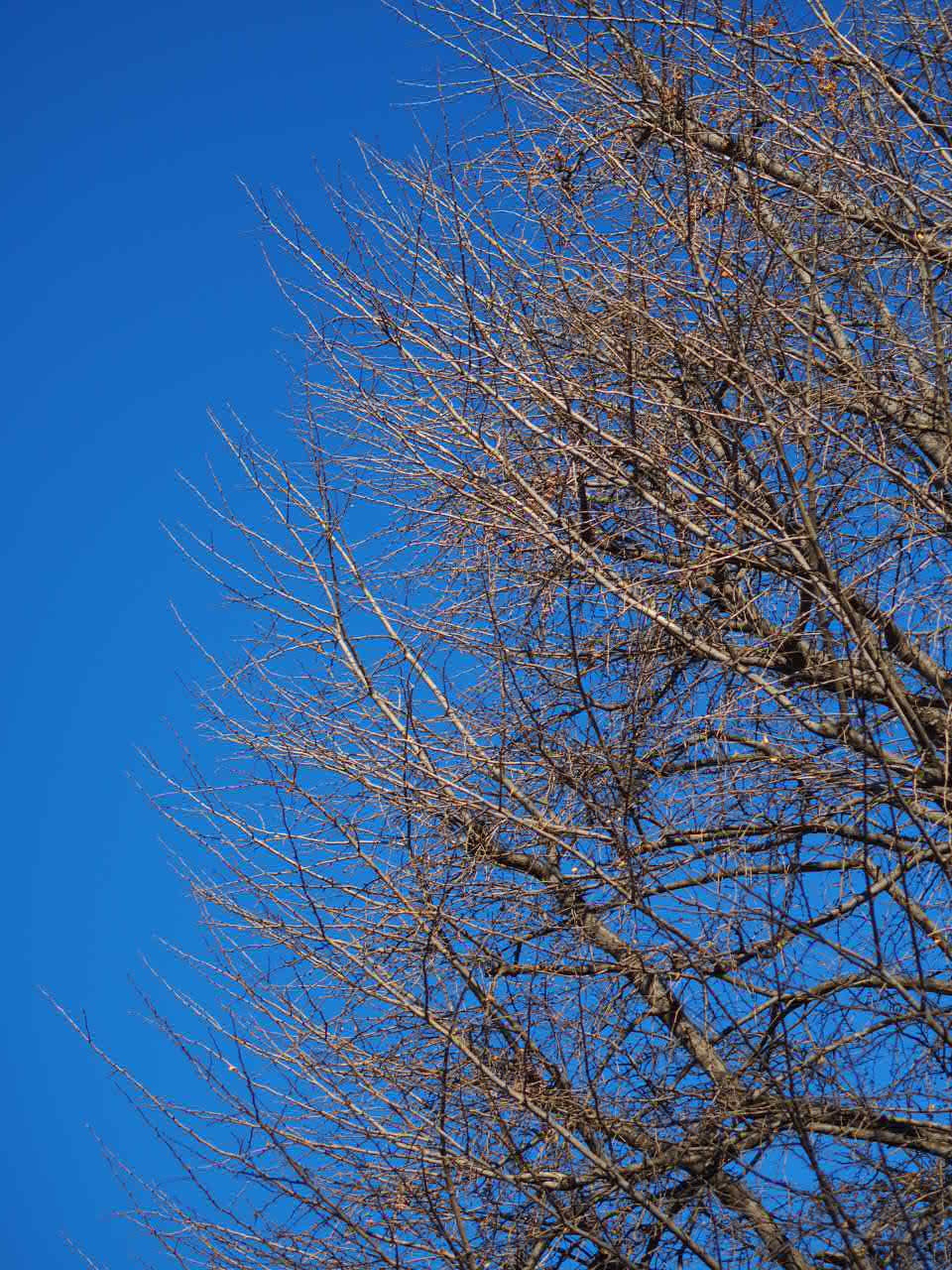 d0341450_15291965.jpeg