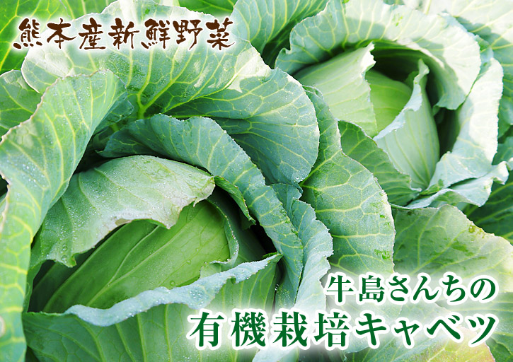 完熟紅ほっぺ　減農薬、美味しさにこだわった朝摘み完熟イチゴ！好評発売中!! _a0254656_1894247.jpg