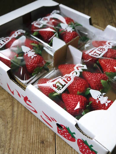 完熟紅ほっぺ 減農薬、美味しさにこだわった朝摘み完熟イチゴ!好評発売中!! _a0254656_19124436.jpg