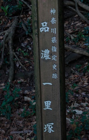 a0248459_16164196.jpg
