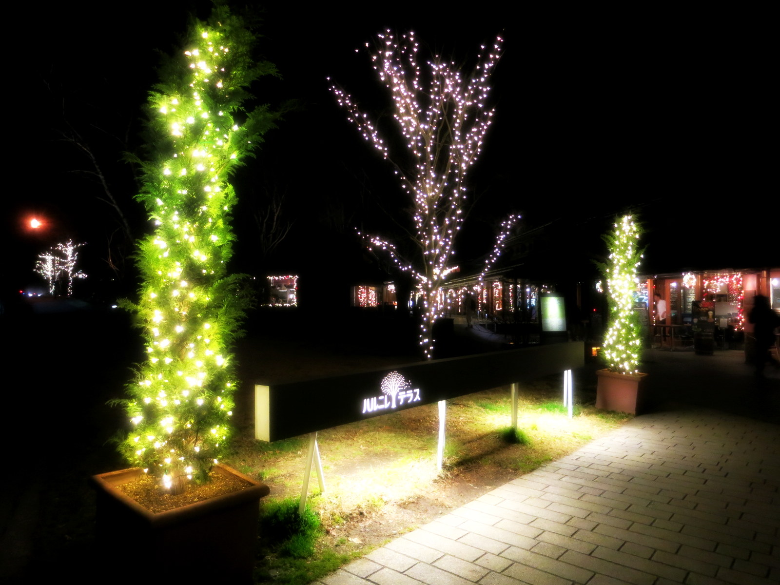 f0236260_1513531.jpg