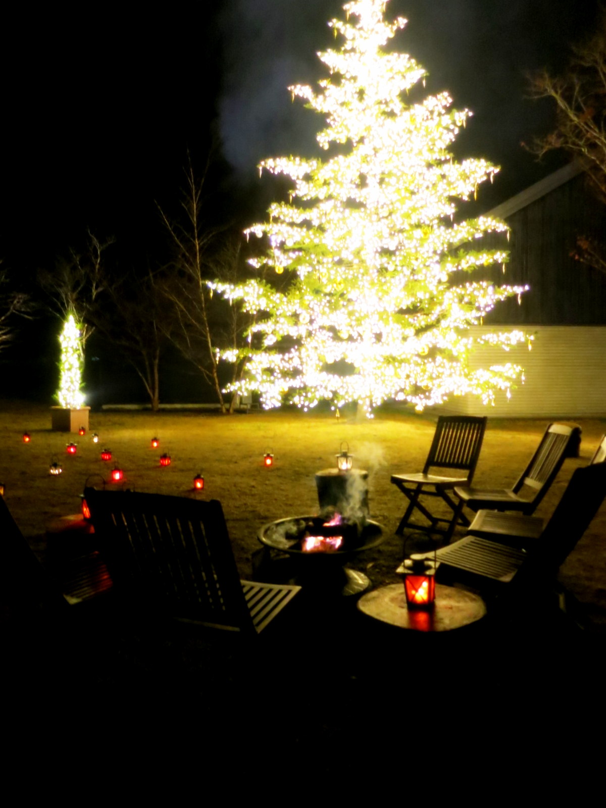 f0236260_1535725.jpg