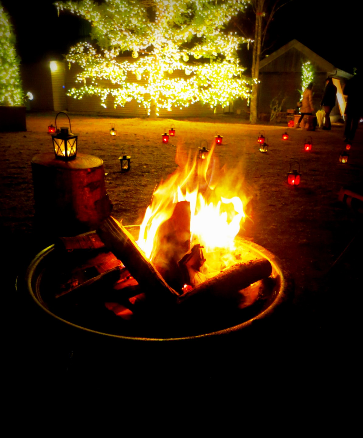 f0236260_1543010.jpg