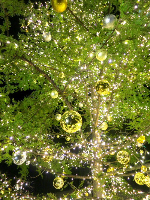 f0236260_1545076.jpg