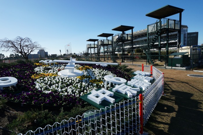 中京競馬場シーン あれこれ Turfに魅せられて 写真紀行