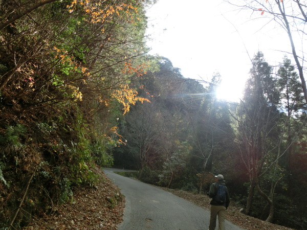 やっぱりこのルートが楽しめました！尺間山（神社）641ｍ_c0366392_2022687.jpg