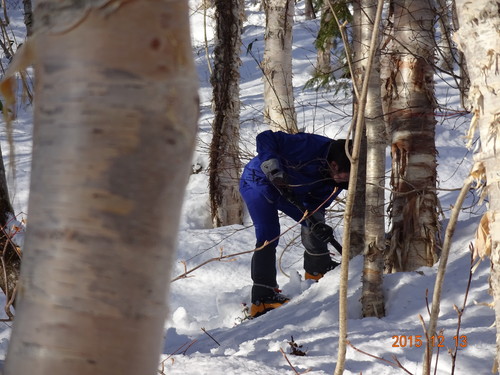 雪崩ビーコン訓練　上二股峰山　２０１５，１２，１３_f0297492_6423196.jpg