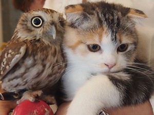 ーー過ごしてきた、人生!には、無駄!は、無し!ーー_d0060693_18203418.jpg