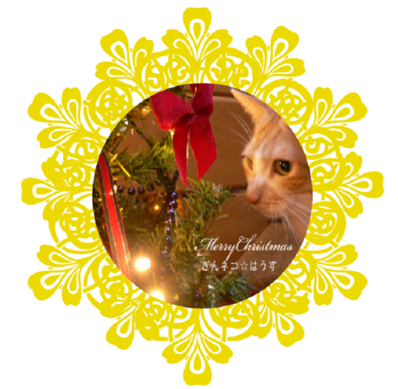 ぎんネコ☆はうすからのChristmasカード_a0333195_11243450.png