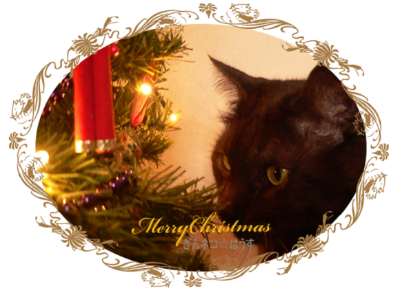 ぎんネコ☆はうすからのChristmasカード_a0333195_11263561.png