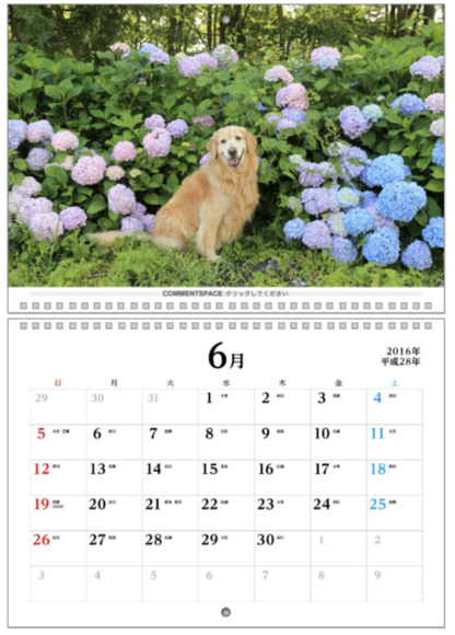 b0275998_173176.png
