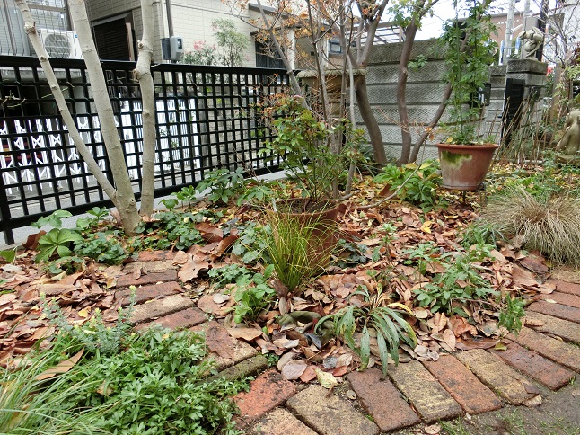 e0234004_21463997.jpg