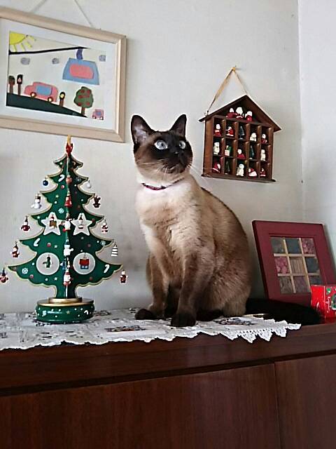 f0316507_09131570.jpg
