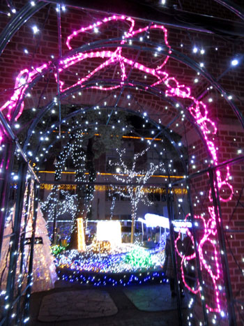 クリスマスイルミネーション_e0048413_18254081.jpg