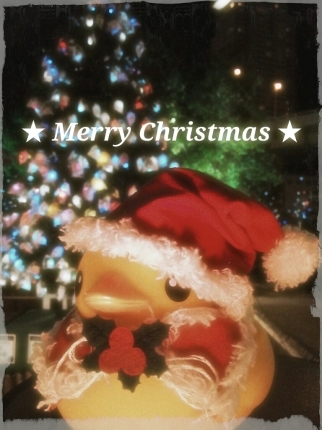 Merry Christmas☆_d0277422_23271562.jpg